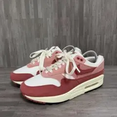 NIKE Air Max DZ2628-103 レブスターダスト スニーカー美品