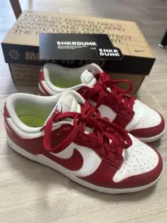 NIKE SNKRDUNK 箱付き