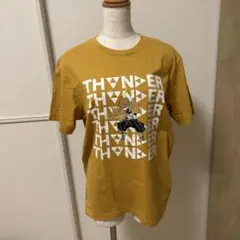 9/23まで限定お値下げ 美品 我妻善逸 ユニクロ TシャUT 鬼滅の刃