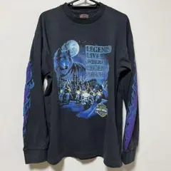 ハーレーダビッドソン 狼 バイク 長袖 Tシャツ 黒 青 紫 ロンT Lのサムネイル
