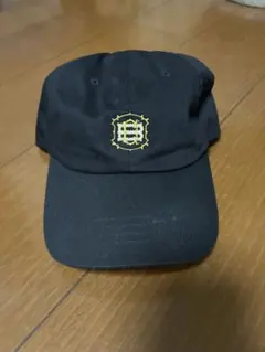 Item thumbnail for item 3d1b3350-6b0c-4459-a4c5-d83e0faa917d