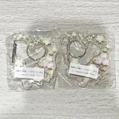 サンリオ さくらマジックアクリルカラビナ ポチャッコ 2個セット