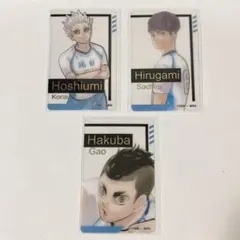 ハイキュー　ファンパーク　箔押しクリアカード 星海 昼神 白馬