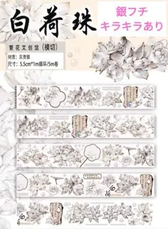 Item thumbnail for item cbc27840-9fb7-4674-b2e9-edb3cc16c0fc