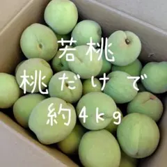 16.摘果桃　若桃　桃だけで約4kgのサムネイル
