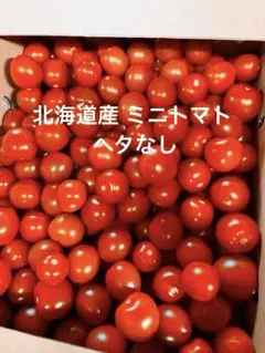 北海道産 ミニトマト ヘタなし 3kg×3箱 北海道産 ミニトマト ヘタなし 3kg×2箱 - メルカリ