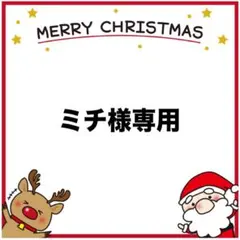 ミチ様専用ページ