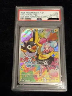 2026年最新】ナンジャモのカイデン psa10の人気アイテム - メルカリ