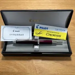 Item thumbnail for item 1acead8c-296d-4749-96d8-224dea7ce7fe