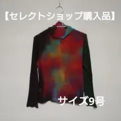 Item thumbnail for item 2b40f23f-4da3-484f-9e72-efcd6e2cec23