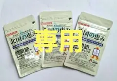 北国の恵み プロテオグリカン グルコサミン コンドロイチン 3袋 