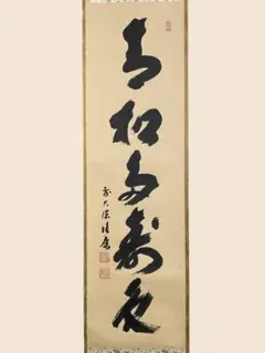 掛け軸 大徳寺 宝林寺 福本積應 『青松多寿色』一行書 紙本 茶道具 掛軸 美品 掛け軸 大徳寺 宝林寺 福本積應 『青松多寿色』一行書 紙本