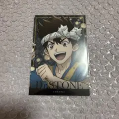 Dr.STONE ドクターストーン クロム AMOCAFE