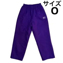 Item thumbnail for item 89b45e02-59aa-4279-b8e3-238254fb6e34