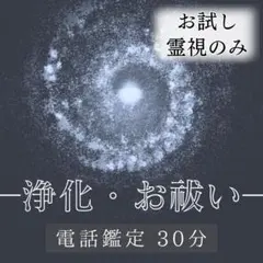 さゆりさま専用／お試し／浄化・お祓い／電話鑑定 30分／霊視 鑑定／お悩み相談
