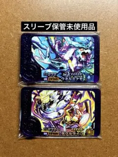 ポケモンフレンダ5弾　未使用　ウネルミナモ　タケルライコ　スーパートレジャーST