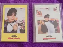 Stray Kids SKZ's Mini World チャンビン