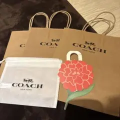 コーチ　ショッパー　紙袋　coach
