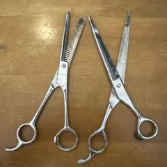 Item thumbnail for item 8e5413d5-1270-47f7-8175-ee5407629879