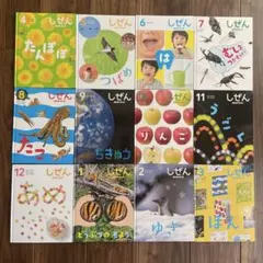 【3年分、36冊】しぜん　フレーベル館 新年度 しぜん-キンダーブック - フレーベル館の月刊保育絵本