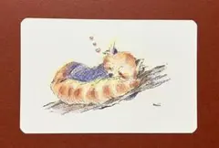 原画　色鉛筆画　レッサーパンダの眠り　レッサーパンダ　ポストカード（額入れ無料）