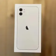 Apple iPhone 11 128GB ケースのみ