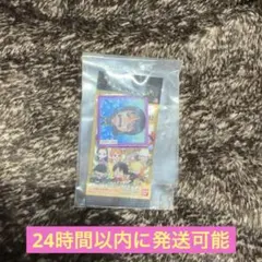 ワンピース 大海賊シールウエハース ミニチュアチャーム ロビン