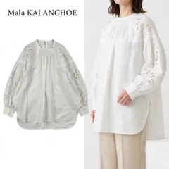 Item thumbnail for item b2ad8d36-c8c0-4eb4-9f4c-9e1b29ff6b4f