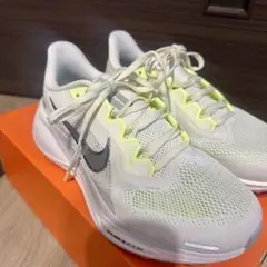NIKE ペガサス41 ワイド 23.0