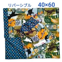 給食セット☆ワイルド迷彩恐竜の給食袋＆ランチョンマット(40☓60)リバーシブル