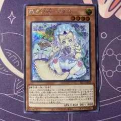 【遊戯王】妖精伝姫－ラチカ　シークレット