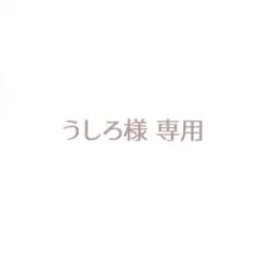専用