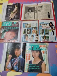 工藤静香(1冊200円計算)65冊分167ページ切り抜きしファイリング済み