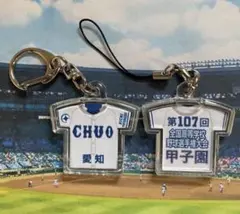 第97回選抜高校野球大会 エナジックスポーツ ビッグユニフォーム