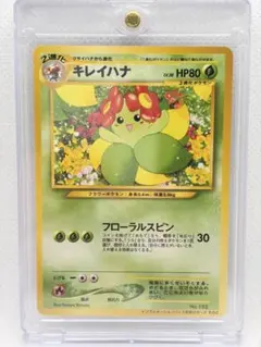 ポケモンカード キレイハナ インフォメーションパック キレイハナ_インフォメーションパックおまけカードその2 おまけカード