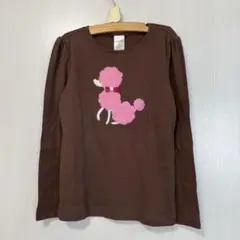 新品　GYMBOREE ブラウン プードル刺繍 長袖カットソー 6T ジンボリー