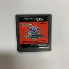 遊戯王デュエルモンスターズWORLD CHAMPION2008