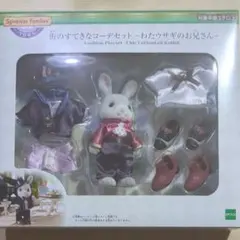 わたウサギのお兄さん