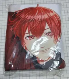 浦島坂田船 となりの坂田 あほの坂田 さかワン 法被 抱き枕カバー GOODS INFORMATION | AHO NO SAKATA LIVE TOUR 2022 -Steal your