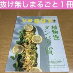 veggy (ベジィ) vol.101 2025年8月号 [雑誌]