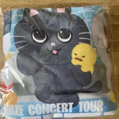 RIIZE アプグレ席特典　ブランケット