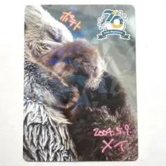 鳥羽水族館 とばすい コレクションカード メイ ロイズ - メルカリ