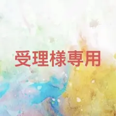 受理様確認専用ページ【取り置き中】