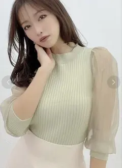 RESEXXY スリーブシアーパフニットトプス