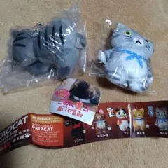 ごめん寝コ　カカオキャットもふもふぬいぐるみガチャセット