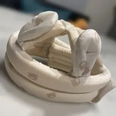 Item thumbnail for item 5d9e9e66-9b9f-4c11-9015-1bbd4f834770