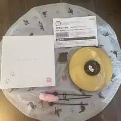 Item thumbnail for item 73fa375a-8ae2-4255-beaa-acf045a94582