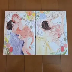 恋の前に、あまくハジメテ。 控えめエリートくんが私にだけ発情しています