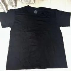 Hanes ブラック Tシャツ LL