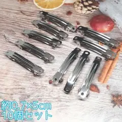 ハンドメイドパーツ バレッタ金具 金属パーツ 接続金具 ミニサイズ 10個セット